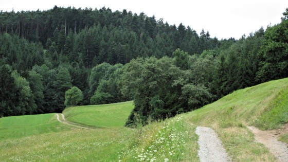 well signposted: forest path behind Losau