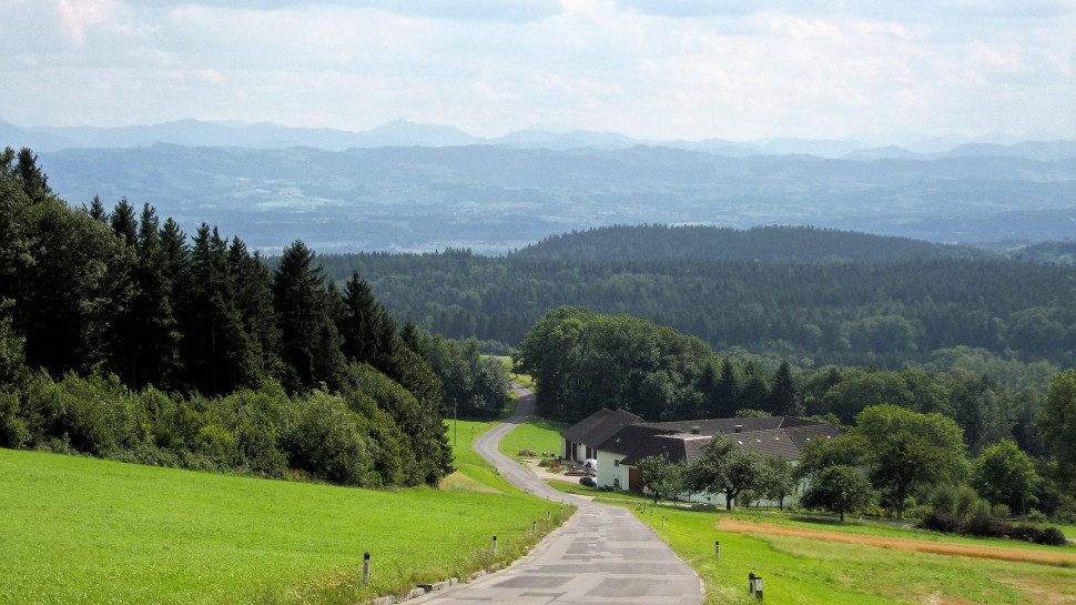 Hengstberg, view to the alps