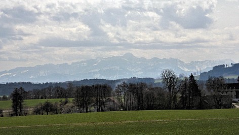 Blick auf die Alpen bei Ellighausen