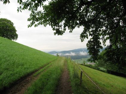 Le chemin peu après Wattenwil