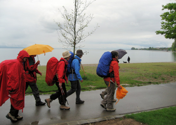 group walking in the rain
