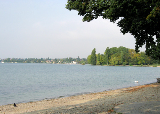 am Genfer See