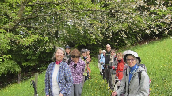 Wandergruppe unter blühenden Apfelbaum