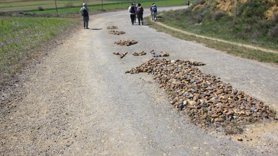 beaucoup de pierres en forme de flèches sur le chemin