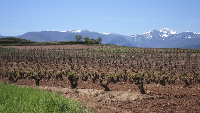 Rijoa Weinbaugebiet