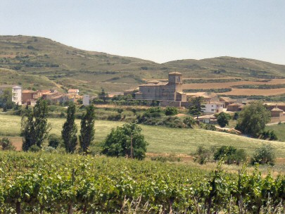 Irache, vineyards