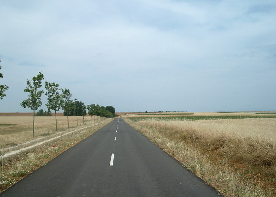 Pilgrimage route and road in the Meseta