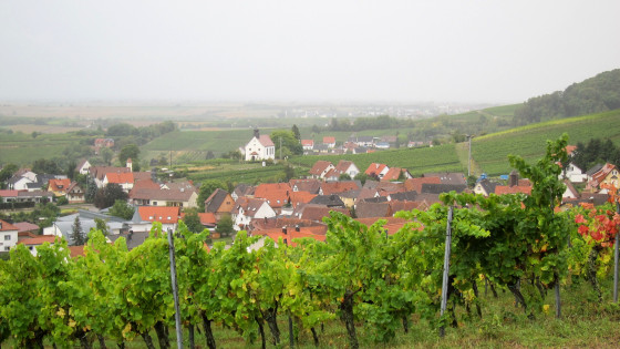 Village du vin Gleiszellen-Gleishorbach