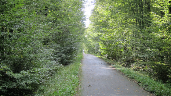 cycle path