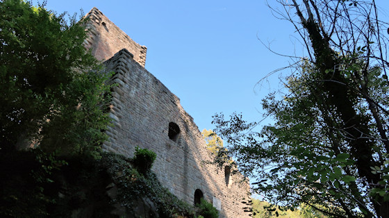 castel ruin Hageneck