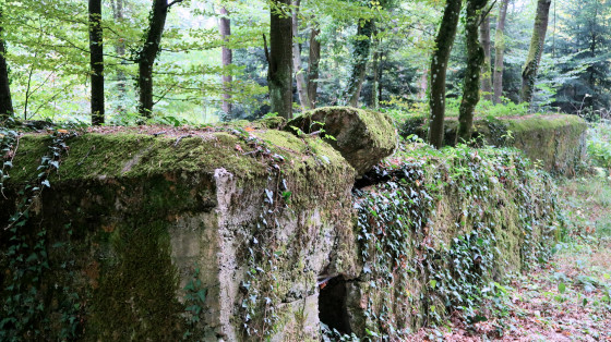 Bunker from world war 1