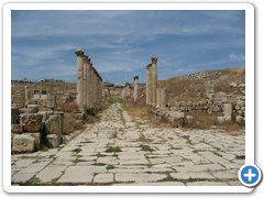 IMG_5312