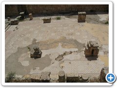 IMG_5340