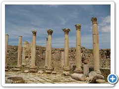 IMG_5308