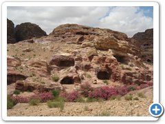 IMG_5542