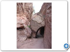 IMG_5556