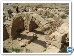 IMG_5450