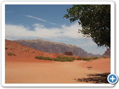 IMG_5675