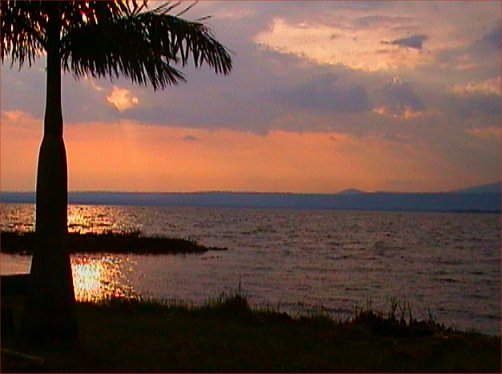 Evening atmosphere at Lake Victoria