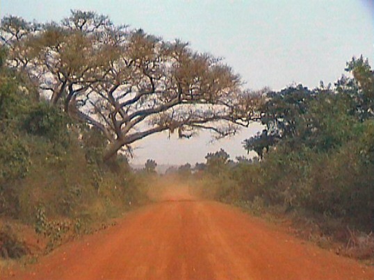 Sur la route au Kenya