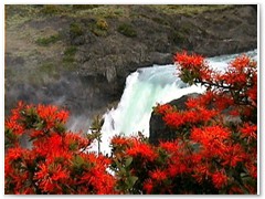 Torres Del Paine, Wasserfall