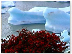 Torres Lake Gray Eis
