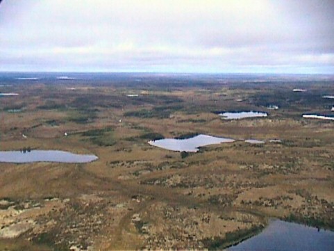 The tundra seen from a helicopter