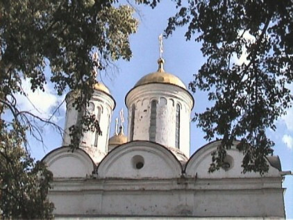 Dômes de la cathédrale de la Transfiguration du Christ à Yaroslavl