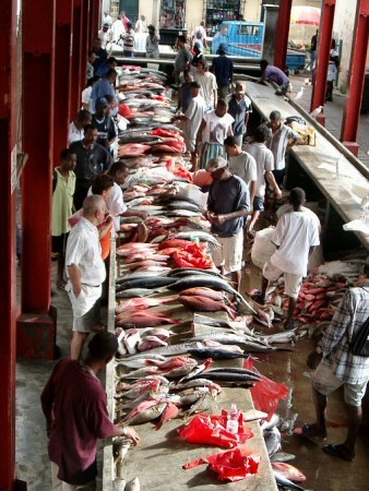 Fischmarkt in Viktoria, Mahe