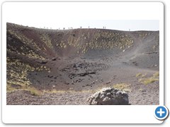 _DSC0517