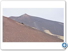 _DSC0532