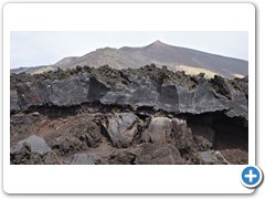 _DSC0535