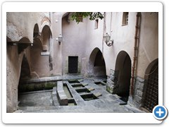 _DSC0650