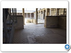 _DSC0446